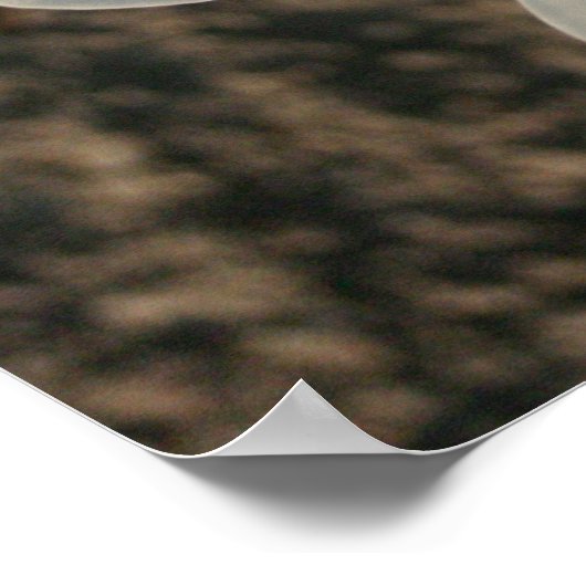 Witte ventilator poster (Hoek)