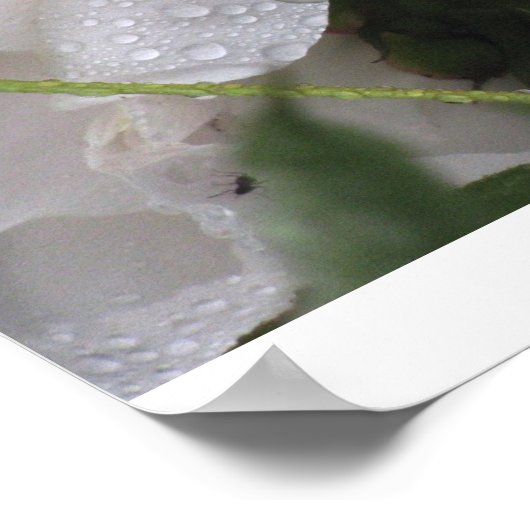 Witte ventilator poster (Hoek)