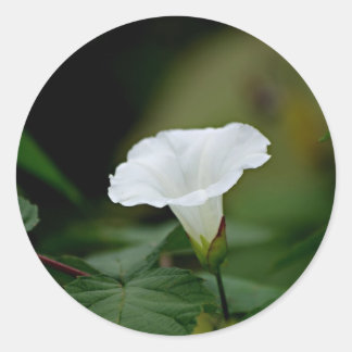 Witte ventilator ronde sticker