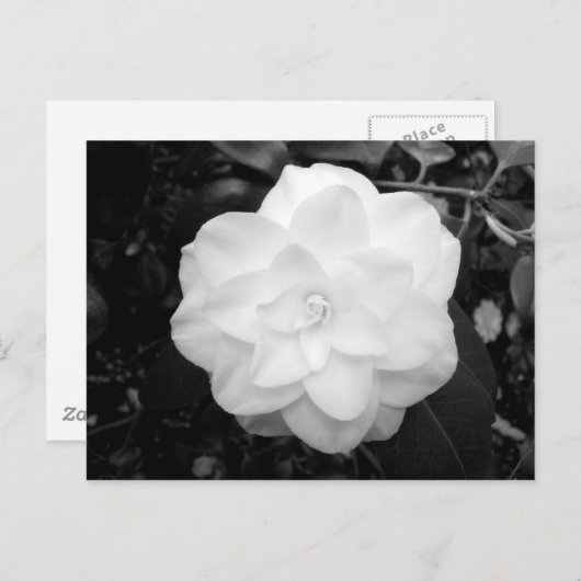 Witte ventilator. (zwart en wit) briefkaart (Voorkant / Achterkant)