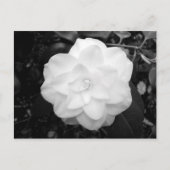 Witte ventilator. (zwart en wit) briefkaart (Voorkant)