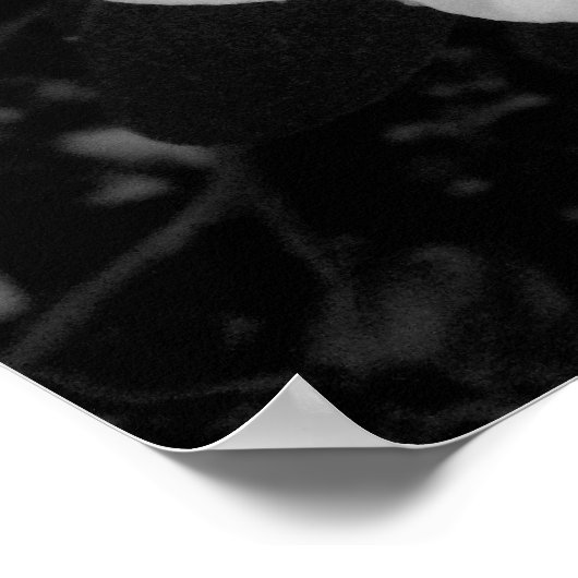 Witte ventilator. (zwart en wit) poster (Hoek)