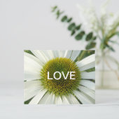 Witte ventilatorkoet. Briefkaart (Staand voorkant)