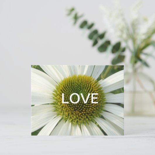 Witte ventilatorkoet. Briefkaart (Staand voorkant)