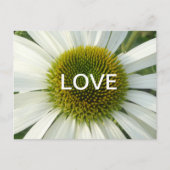 Witte ventilatorkoet. Briefkaart (Voorkant)