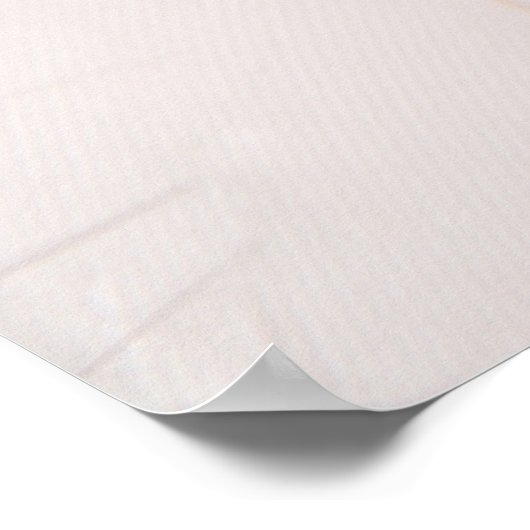 Witte veren poster (Hoek)