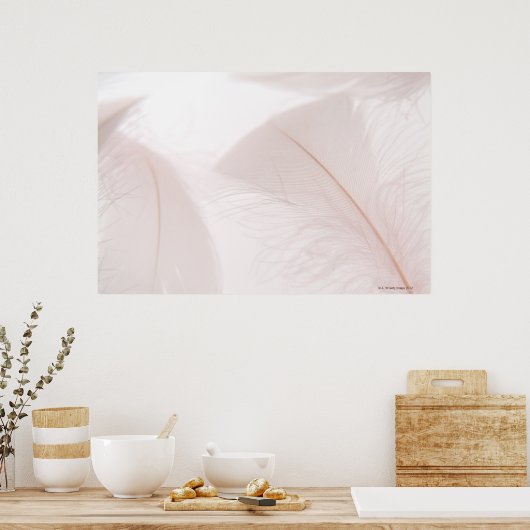 Witte veren poster (Keuken)