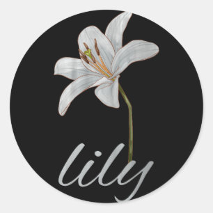 witte vintage lelie bloem retro bloemstuk ronde sticker