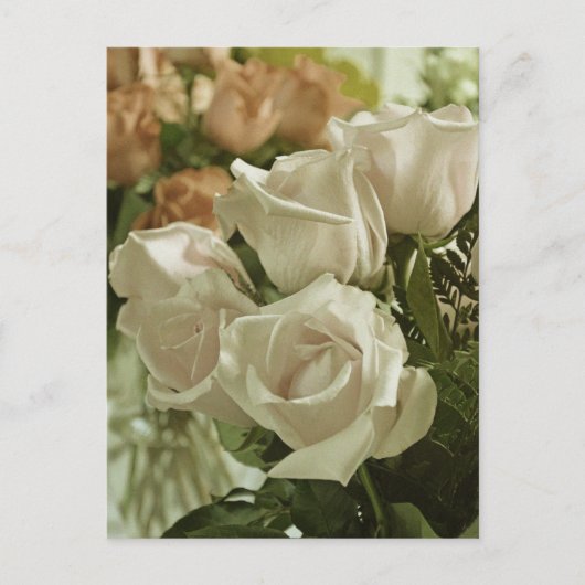 Witte vintage rozen print ansichtkaart briefkaart (Voorkant)