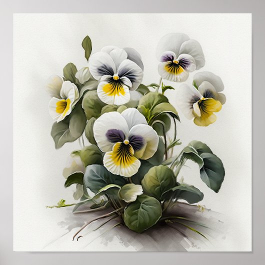 Witte Viola's Bloemenkunst Print Poster (Voorkant)