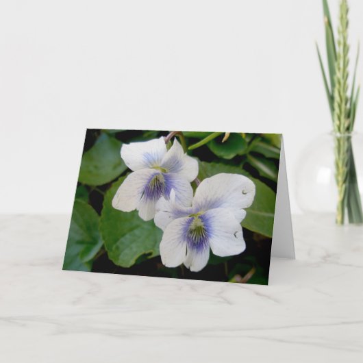 Witte Violet Pair Note Kaart (Voorkant)