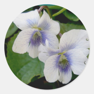 Witte Violet Pair Stickers