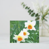 Witte vleermuizen - Briefkaart (Staand voorkant)