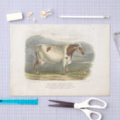 Witte Vlekken Koe Ephemera Decoupage Boerderij Tissuepapier (Craft)