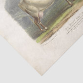 Witte Vlekken Koe Ephemera Decoupage Boerderij Tissuepapier (Detail)