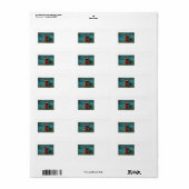 Witte vliegende zwarte kat crescent moon etiket (Full Sheet)