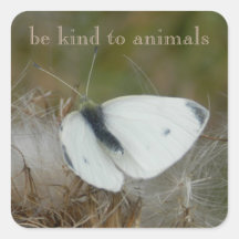 Witte vlinder "Be Kind to Animals" Sticker Sheet