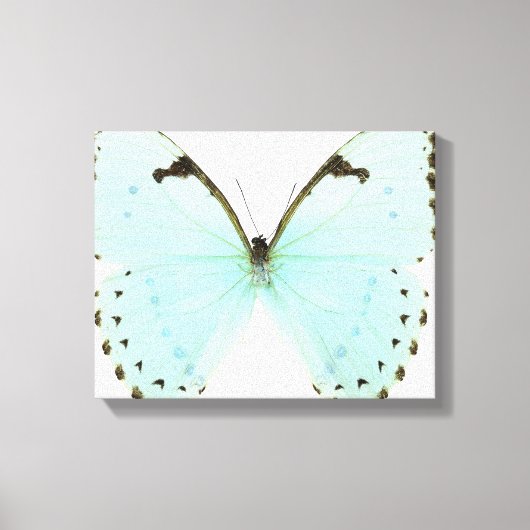 Witte vlinder canvas afdruk (Voorkant)