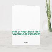 WITTE VLINDER KAART (Achterkant)