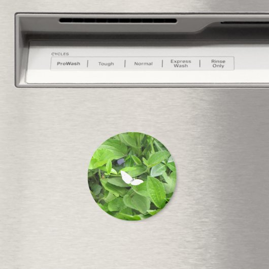 Witte vlinder magneet (Insitu (Vaatwasser))