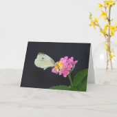 Witte Vlinder op Lantana - kaart (Gele Bloem)