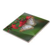 Witte vlinder op rode bloemen tegeltje (Zijkant)