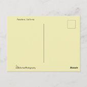 Witte vlinder op roze bloemen briefkaart (Achterkant)