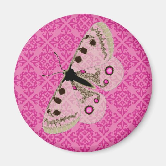 Witte vlinder op roze magneet (Voorkant)
