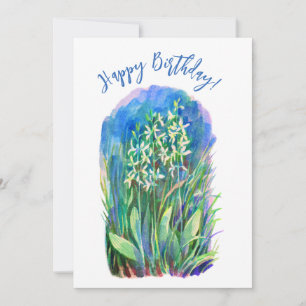 Witte vlinder orchidee lente bloem