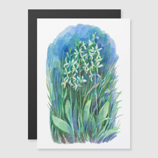 Witte vlinder orchidee lente bloem schilderij (Voorkant / Achterkant)