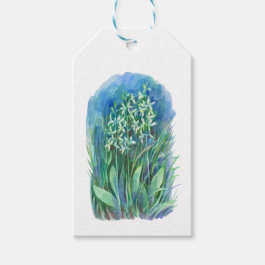 Witte vlinder orchidee lente bloem schilderij cadeaulabel (Voorkant)