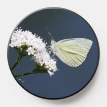 Witte vlinder PopSocket