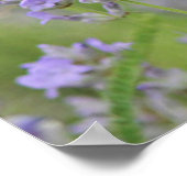 Witte vlinder poster (Hoek)