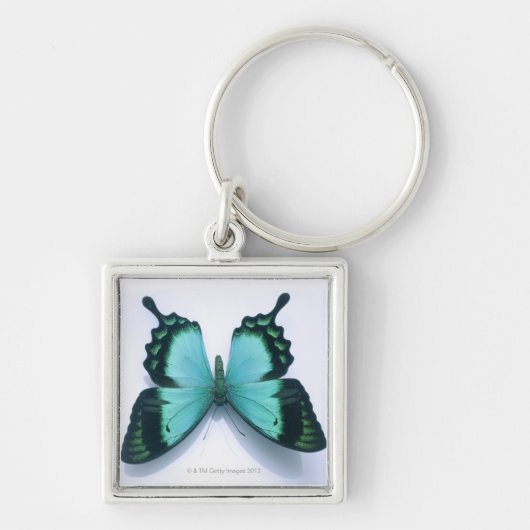 Witte vlinder sleutelhanger (Voorkant)