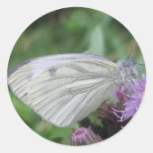 Witte vlinder sticker blad (Voorkant)