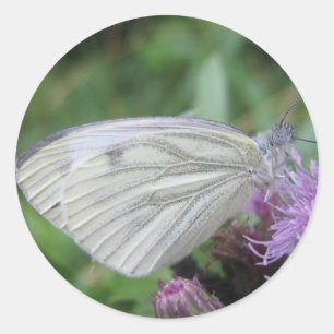 Witte vlinder sticker blad