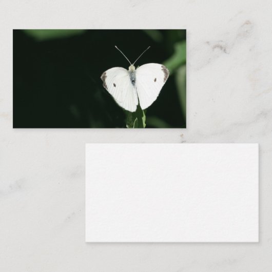 witte vlinder visitekaartje (Voorkant / Achterkant)