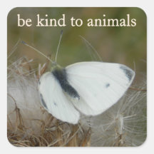 Witte Vlinder "Wees Vriendelijk voor Dieren" Stick