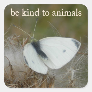 Witte Vlinder "Wees Vriendelijk voor Dieren" Stick Vierkante Sticker