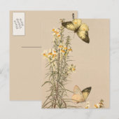  witte vlindergele witte florale vlinder briefkaart (Voorkant / Achterkant)