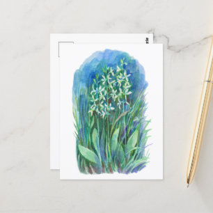 witte vlinderorchidee lente bloem schilderij briefkaart