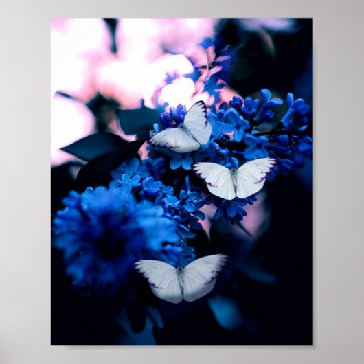 Witte vlinders Blauwe bloemen, vlinder Poster (Voorkant)