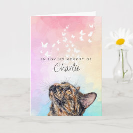 Witte Vlinders Regenboog Tortie Kat Verlies Herden Kaart