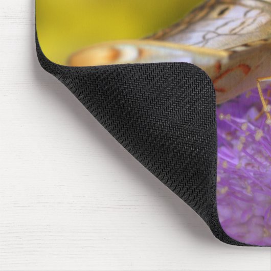 Witte vlindervlinder muismat (Hoek)