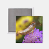 Witte vlindervlinder op paarse bloei magneet (Voorkant / Achterkant)