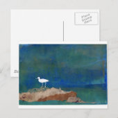 Witte vogel briefkaart (Voorkant / Achterkant)