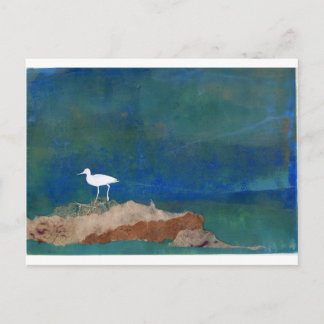 Witte vogel briefkaart