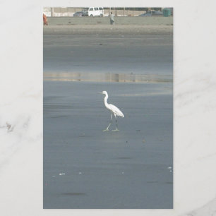 Witte vogel op grijs zand strand art print briefpapier