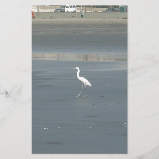 Witte vogel op grijs zand strand art print briefpapier (Voorkant)