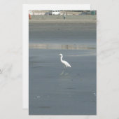 Witte vogel op grijs zand strand art print briefpapier (Voorkant / Achterkant)
